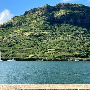 Meet your Posher, Tamara